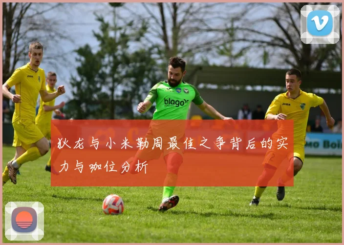狄龙与小米勒周最佳之争背后的实力与咖位分析