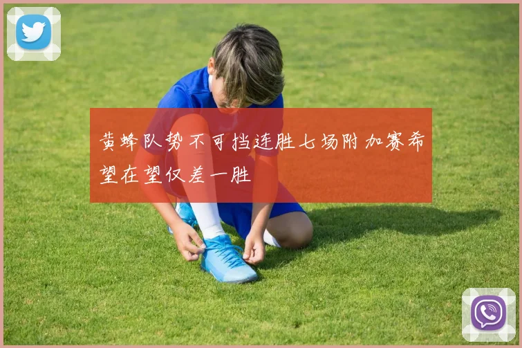 黄蜂队势不可挡连胜七场附加赛希望在望仅差一胜