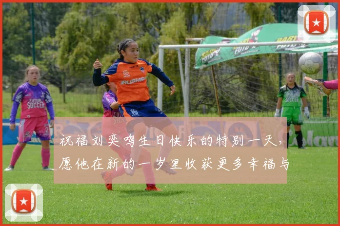 祝福刘奕鸣生日快乐的特别一天，愿他在新的一岁里收获更多幸福与成功
