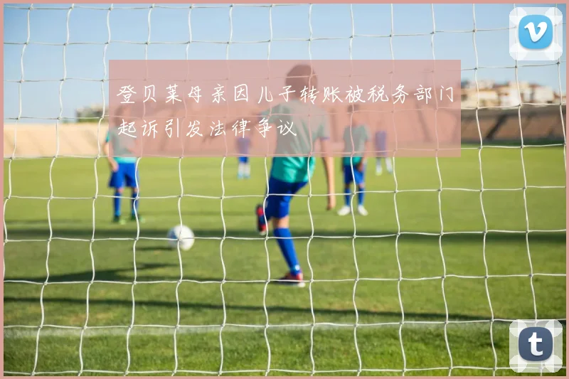 登贝莱母亲因儿子转账被税务部门起诉引发法律争议