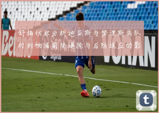 舒梅切尔分析迪亚斯与努涅斯离队对利物浦前场逼抢与后防适应的影响