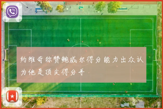 约维奇称赞鲍威尔得分能力出众认为他是顶尖得分手